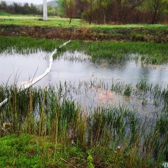 Ekološka katastrofa: U Krki završile vode onečišćene mazutom i teškim metalimagall-0